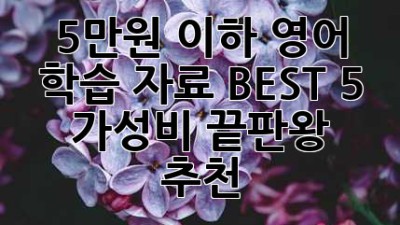 5만원 이하 영어 학습 자료 BEST 5: 가성비 끝판왕 추천!